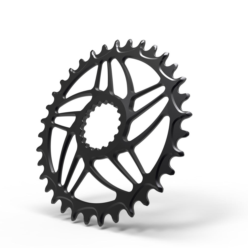 Black round ALUGEAR MTB chainring, Cannondale Hollowgram direct-mount, macro close-up of narrow-wide teeth edge