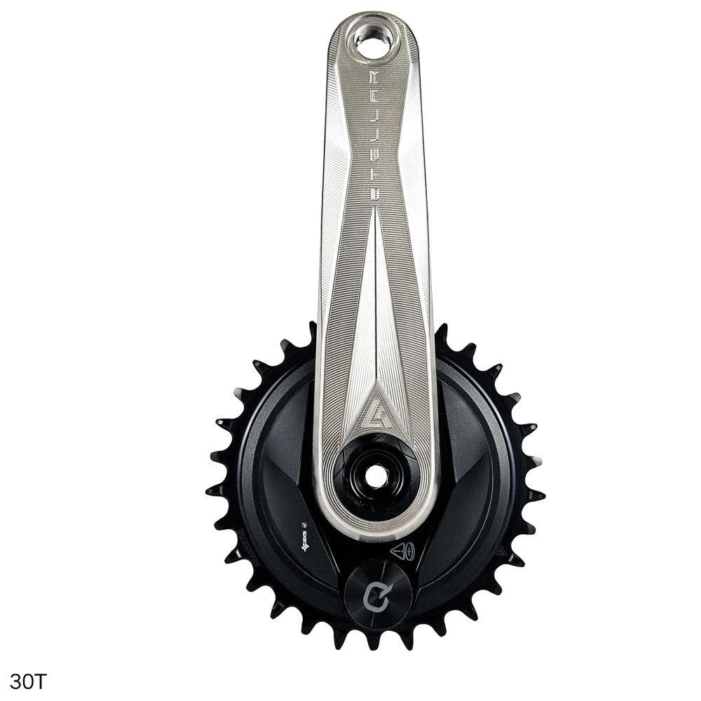 Black ALUGEAR round AERO MTB chainring 30T on silver crank arm, thread mount, geometric triangle pattern