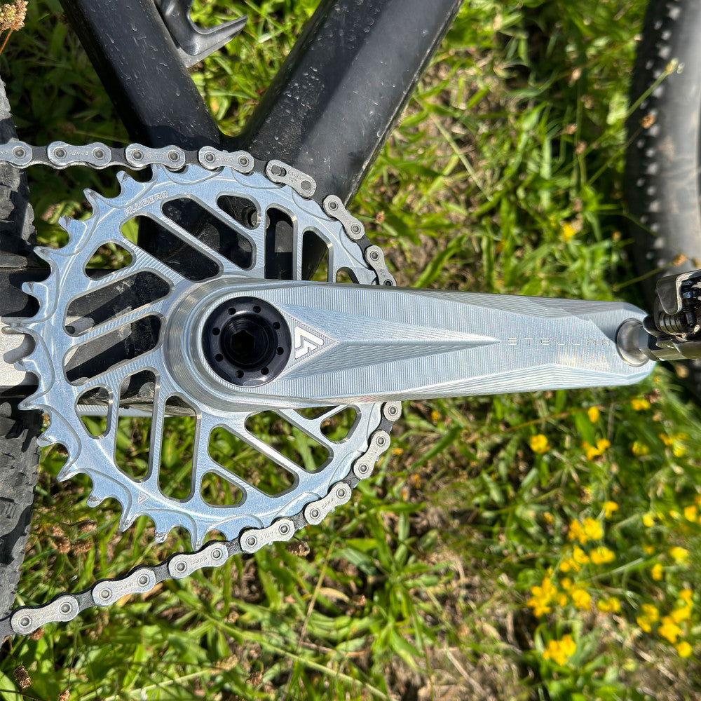 Silver ALUGEAR Stellar AL MTB crankset with round direct-mount chainring installed on bike in field with chain