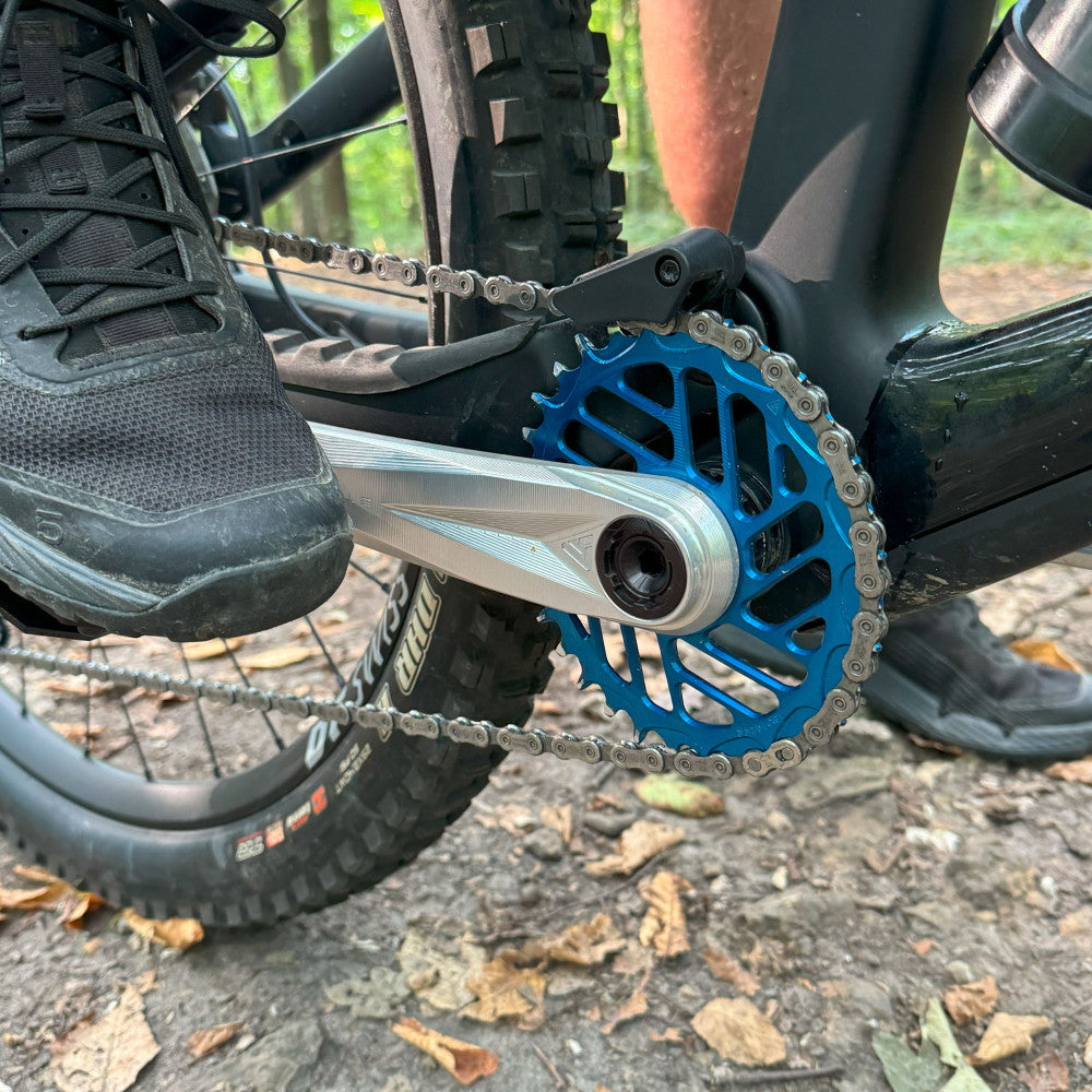 Silver ALUGEAR Stellar AL MTB crankset with blue direct-mount chainring installed on MTB in forest trail